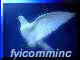 fyicommincloco