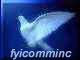 FYICOMMINC Services